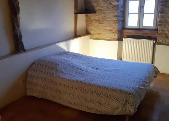 Ferme Lagarrigue 度假居